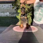 Slika 2