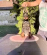 Slika 3