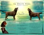 Slika 4