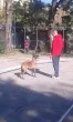 Slika 1