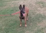 Slika 4