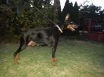 Slika 2