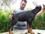 Slika 5