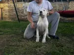 Slika 2