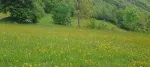 Slika 1
