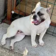 Slika 1