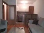 Slika 1