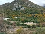Slika 5
