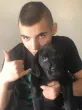 Slika 2