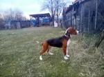 Slika 2