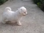 Slika 3