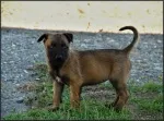 Slika 2