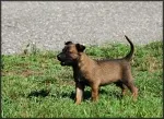 Slika 3