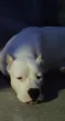 Slika 5
