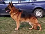 Slika 2