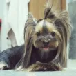 Slika 3
