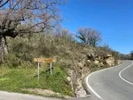 Slika 6