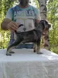 Slika 3