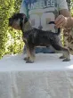 Slika 4