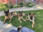 Slika 3