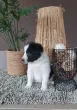 Slika 2