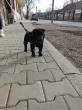 Slika 1