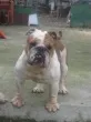 Slika 3