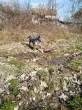 Slika 4
