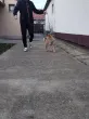 Slika 5