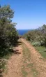 Slika 1