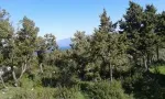 Slika 2