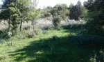 Slika 3