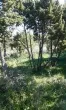 Slika 5