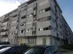 Slika 1