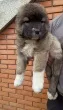 Slika 2