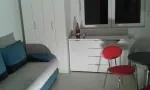 Slika 1