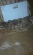 Slika 5