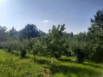 Slika 4