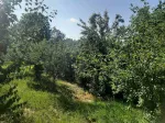 Slika 5