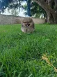 Slika 1