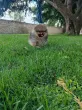 Slika 3