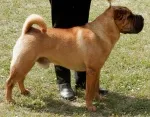 Slika 3