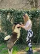 Slika 1