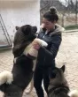 Slika 5