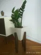 Slika 6