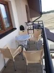 Slika 1