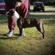 Slika 4