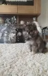 Slika 3