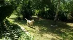 Slika 3