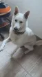 Slika 1